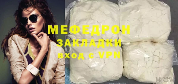 индика Бородино