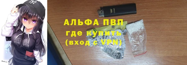 индика Бородино