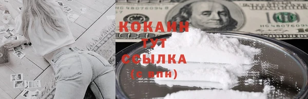 индика Бородино
