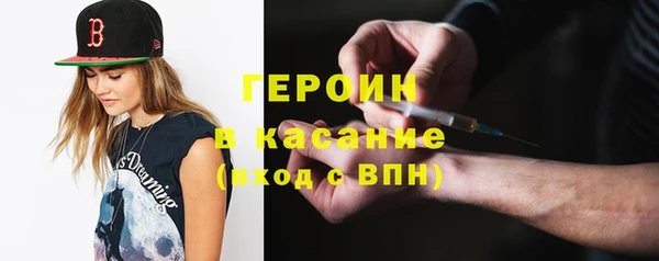 индика Бородино