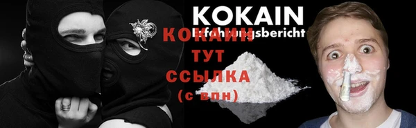 индика Бородино