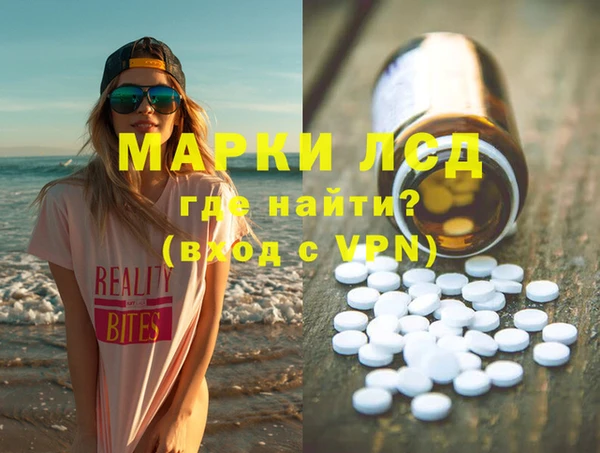 индика Бородино