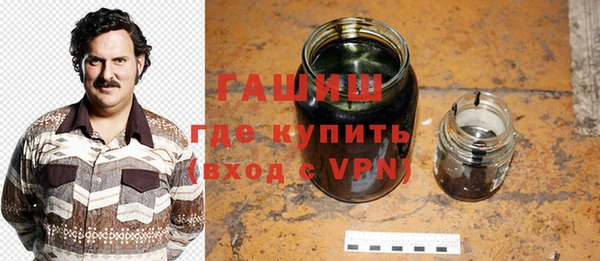 индика Бородино