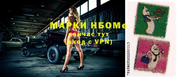 индика Бородино