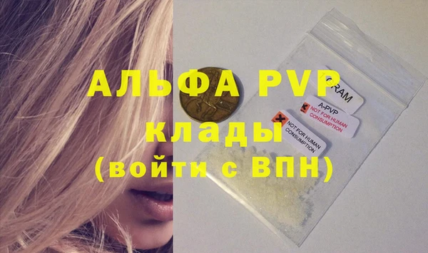 индика Бородино