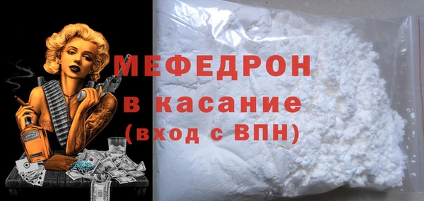 индика Бородино