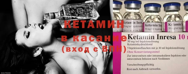 индика Бородино