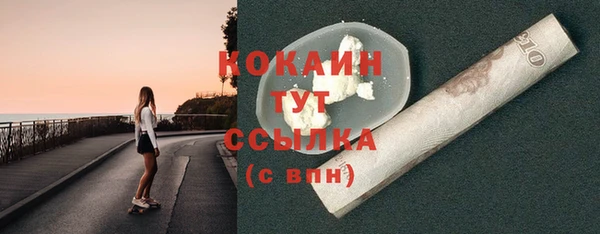 индика Бородино
