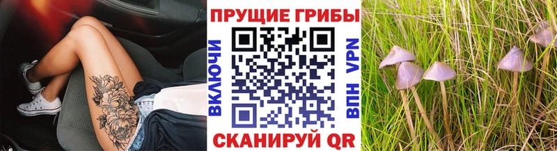 что такое наркотик  Всеволожск  Псилоцибиновые грибы MAGIC MUSHROOMS 